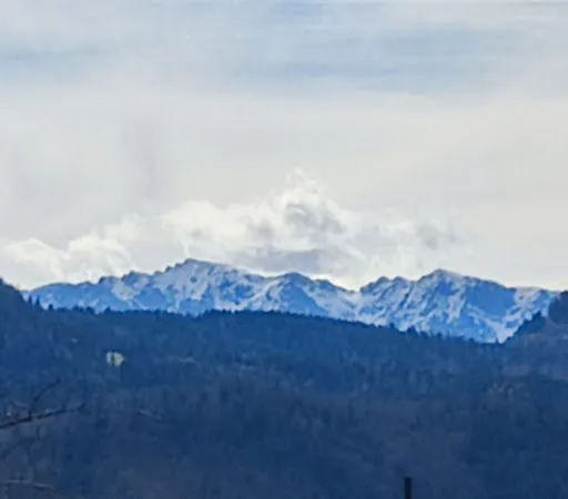 Bild von Gasthof Dandlberg Alm