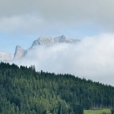 Bild von Thoraualm