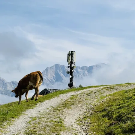 Bild von Thoraualm