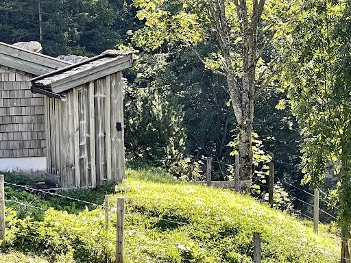Bild von Thoraualm
