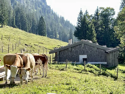 Bild von Thoraualm