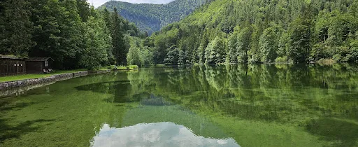 Bild von Seehäusl