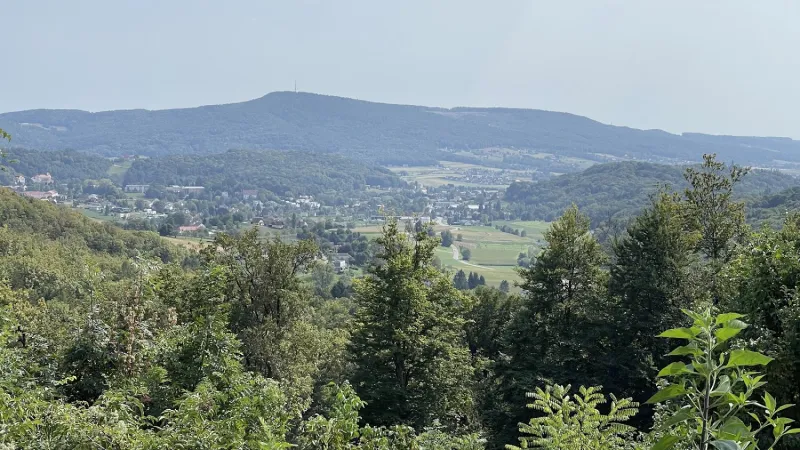 Bild von Dom Wei