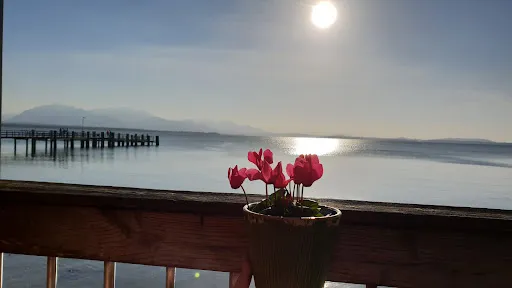 Bild von Haus am See