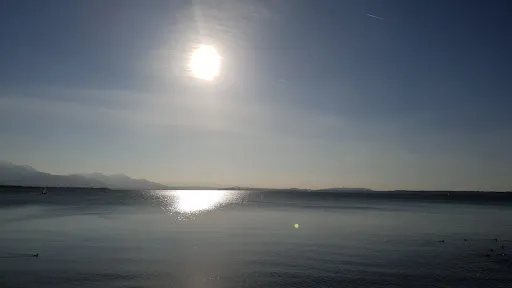 Bild von Haus am See