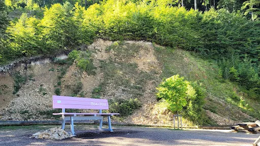 Bild von Restaurant Waldweid
