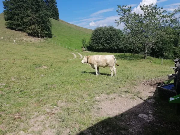 Bild von undefined