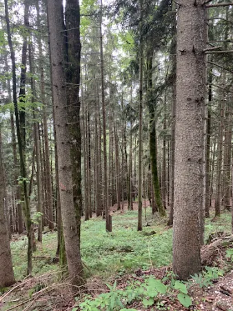 Bild von Agersgschwendt-Alm