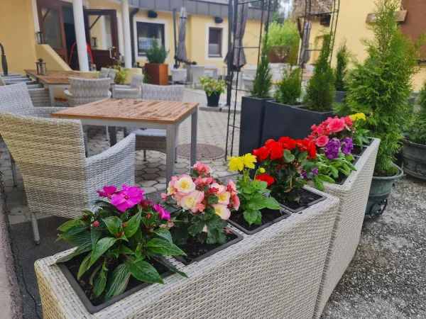 Bild von Kreuzwirt Villach