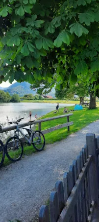 Bild von Seewirtschaft am Reifinger See