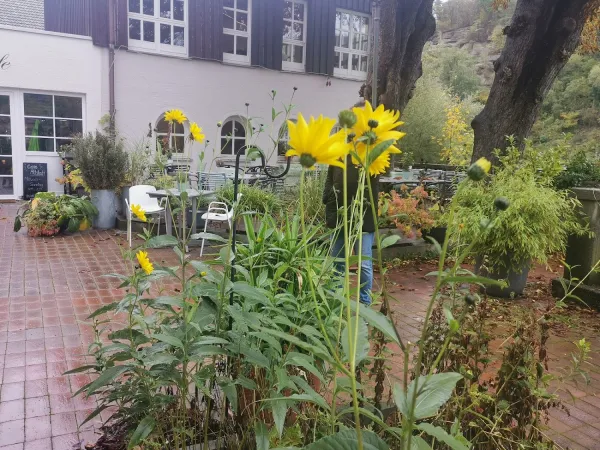 Bild von undefined
