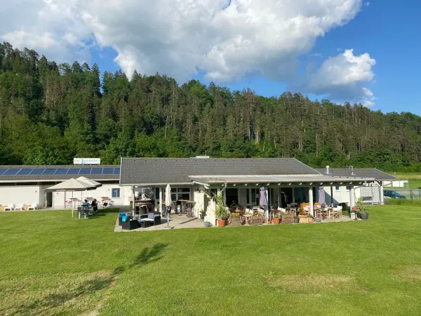 Bild von Ammerhai Ingo