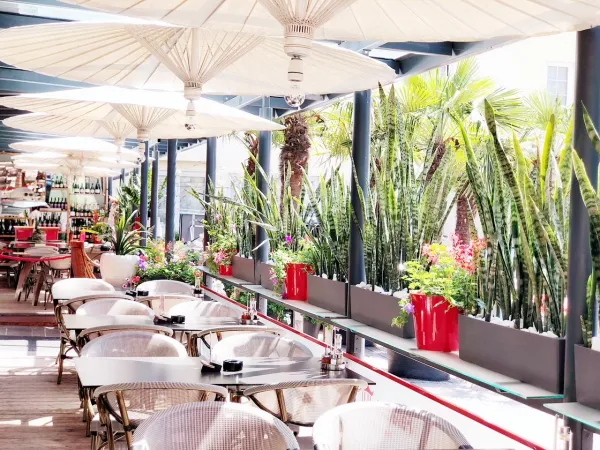 Bild von FALLALOON - FINE ASIAN DINING I Asia Restaurant I Velden am Wörthersee