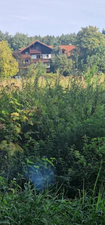 Bild von Waldpension Jägerstüberl