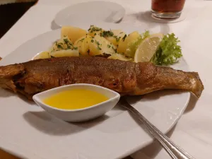 Restaurant Millipp