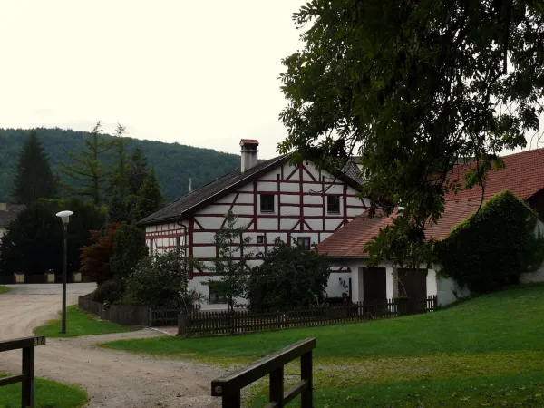 Bild von undefined