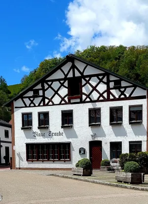 Gasthof Blaue Traube