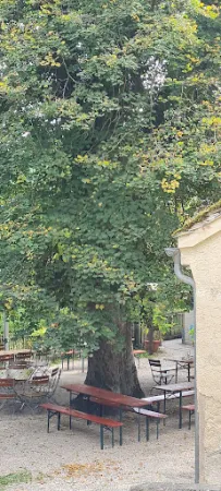 Bild von Theater Gasthaus Alte Schule mit Biergarten