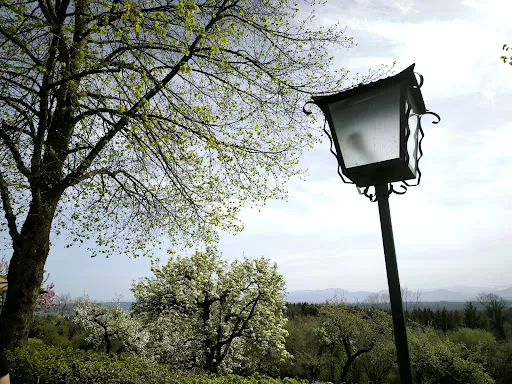 Bild von Forsthaus Ilkahöhe Restaurant & Biergarten