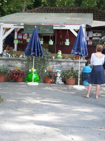 Bild von Froschgartl