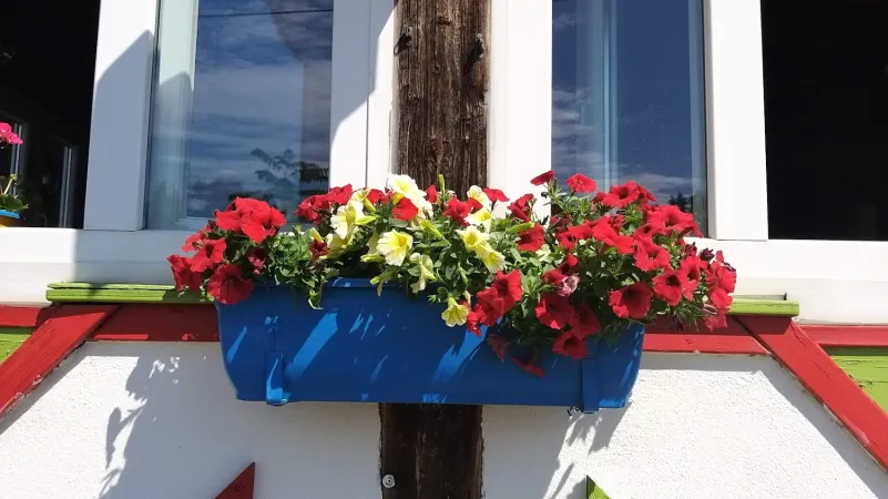 Bild von Restaurant D&#39;Wirtschaft
