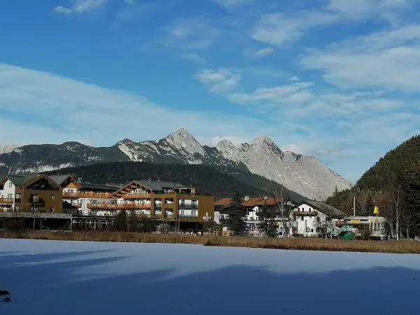 Bild von Marlen Palma