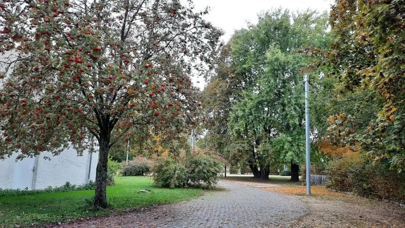 Bild von undefined