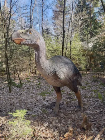 Bild von Restaurant im Dinosaurier Museum Altmühltal