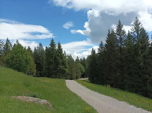 Bild von Berggasthof Blomberghaus