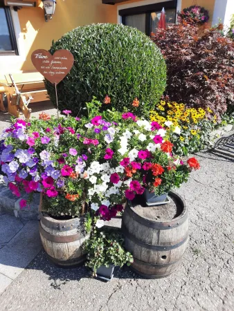 Bild von Gasthaus Stockinger