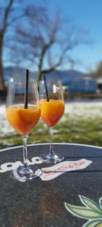 Bild von Aqua Bistro & Bar Tegernsee