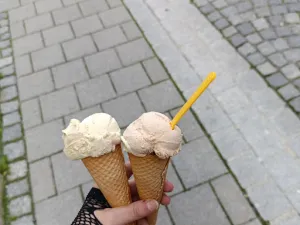 Mr. Eis