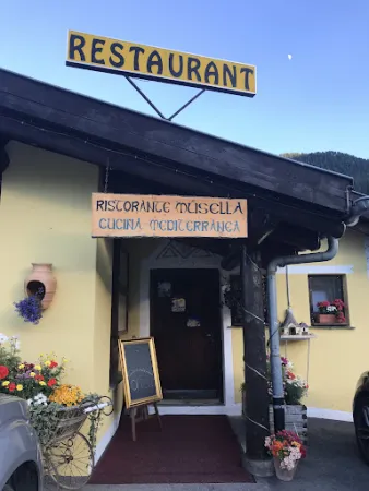 Bild von Müsella