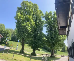Gasthaus Steinbacher Steingau