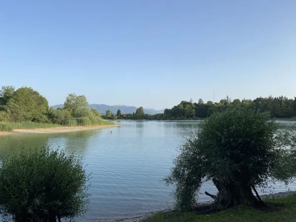 Bild von undefined