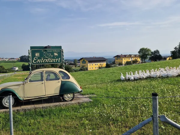 Bild von Landgasthof Entenwirt