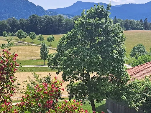 Bild von Bohmerhofstuben