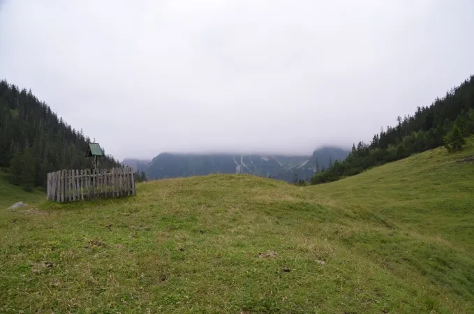 Bild von undefined