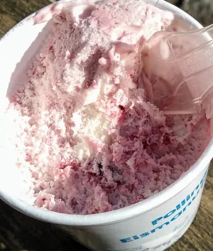 Pollinger Eismanufaktur