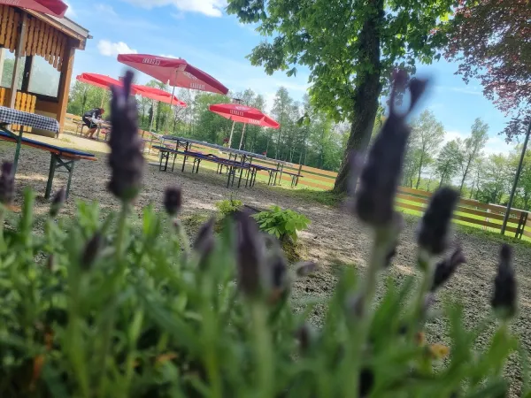 Bild von undefined