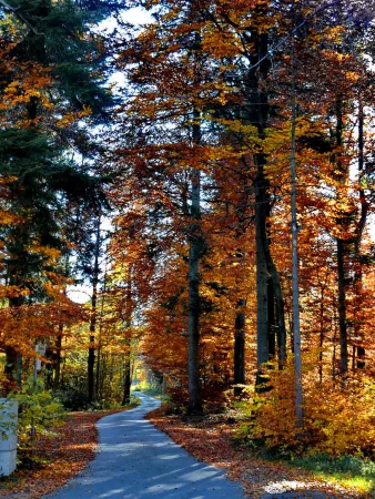Bild von undefined