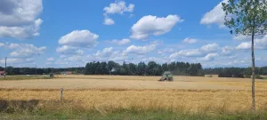 Eisbaeuerin