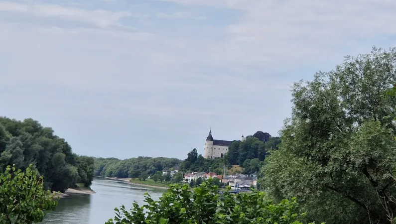 Bild von Lisette Fitzinger