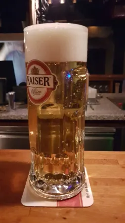 Gerhard Bauer