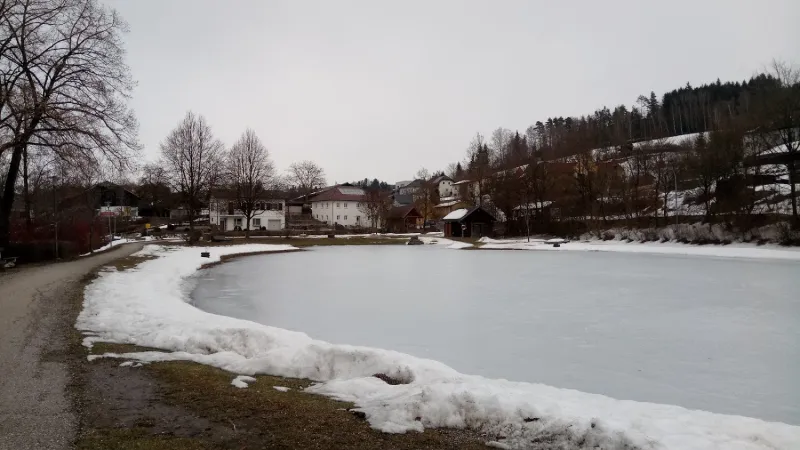 Bild von rodica mereu