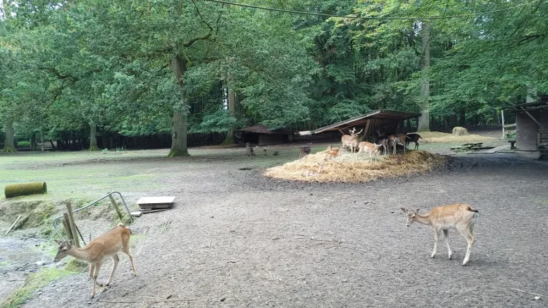 Bild von undefined