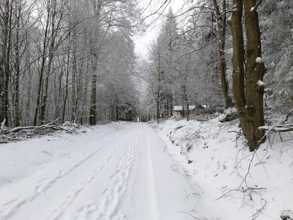 Bild von undefined