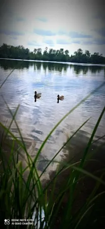 Bild von Waldsee Stub'n