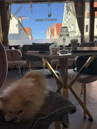 Bild von Bijou Cafe rose