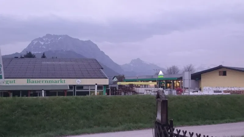 Bild von Miklos Szibler